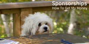 Dog Begging Sponsorship